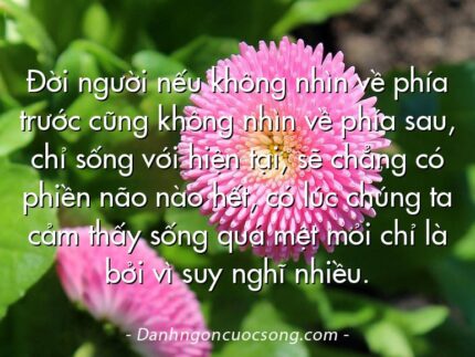 Đời người nếu không nhìn về phía trước cũng không nhìn về phía sau, chỉ sống với hiện tại, sẽ chẳng có phiền não nào hết, có lúc chúng ta cảm thấy sống quá mệt mỏi chỉ là bởi vì suy nghĩ nhiều.