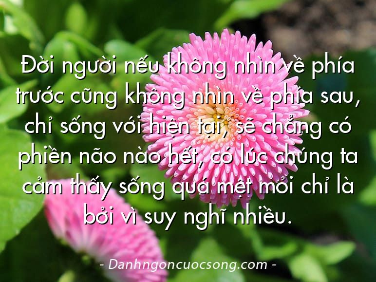 Đời người nếu không nhìn về phía trước cũng không nhìn về phía sau, chỉ sống với hiện tại, sẽ chẳng có phiền não nào hết, có lúc chúng ta cảm thấy sống quá mệt mỏi chỉ là bởi vì suy nghĩ nhiều.