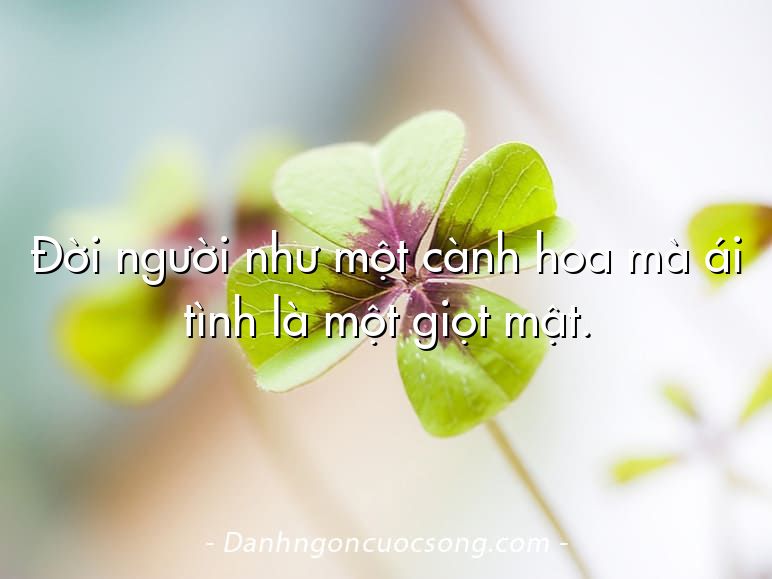 Đời người như một cành hoa mà ái tình là một giọt mật.