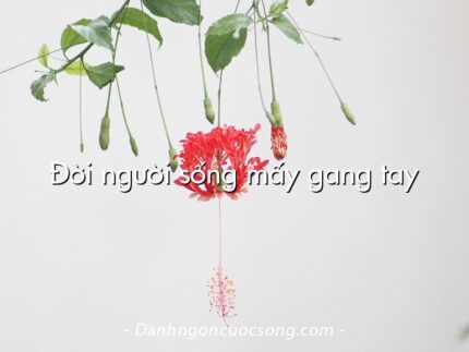 Đời người sống mấy gang tay