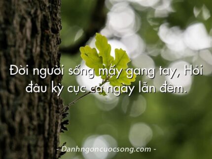 Đời người sống mấy gang tay, Hỏi đâu kỳ cục cả ngày lẫn đêm.