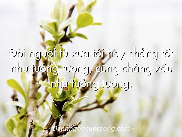 Đời người từ xưa tới nay chẳng tốt như tưởng tượng, cũng chẳng xấu như tưởng tượng.