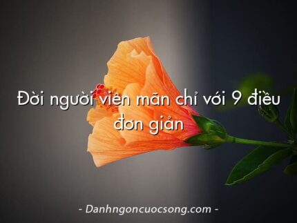 Đời người viên mãn chỉ với 9 điều đơn giản