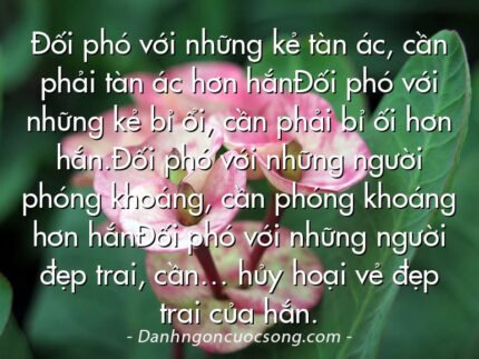 Đối phó với những kẻ tàn ác, cần phải tàn ác hơn hắnĐối phó với những kẻ bỉ ổi, cần phải bỉ ối hơn hắn.Đối phó với những người phóng khoáng, cần phóng khoáng hơn hắnĐối phó với những người đẹp trai, cần… hủy hoại vẻ đẹp trai của hắn.
