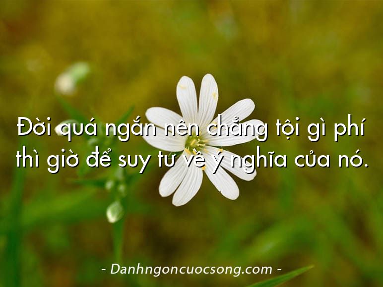 Đời quá ngắn nên chẳng tội gì phí thì giờ để suy tư về ý nghĩa của nó.