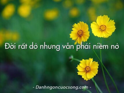 Đời rất dở nhưng vẫn phải niềm nở