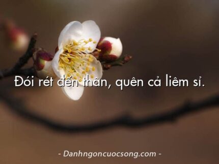 Đói rét đến thân, quên cả liêm sỉ.