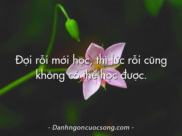 Đợi rỗi mới học, thì lúc rỗi cũng không có thể học được.