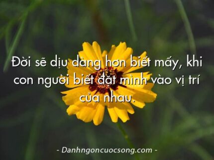 Đời sẽ dịu dàng hơn biết mấy, khi con người biết đặt mình vào vị trí của nhau.