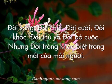 Đời sống, Đời chết. Đời cười, Đời khóc. Đời thử và Đời bỏ cuộc. Nhưng Đời trông khác biệt trong mắt của mỗi người.