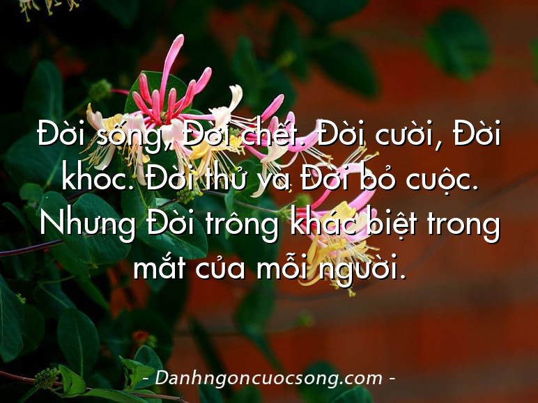 Đời sống, Đời chết. Đời cười, Đời khóc. Đời thử và Đời bỏ cuộc. Nhưng Đời trông khác biệt trong mắt của mỗi người.