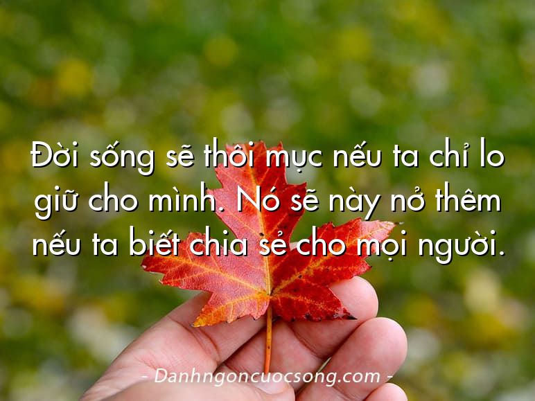 Đời sống sẽ thôi mục nếu ta chỉ lo giữ cho mình. Nó sẽ này nở thêm nếu ta biết chia sẻ cho mọi người.