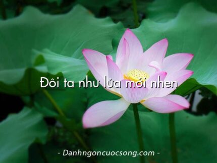 Đôi ta như lửa mới nhen