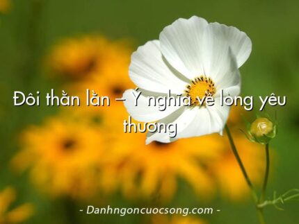 Đôi thằn lằn – Ý nghĩa về lòng yêu thương