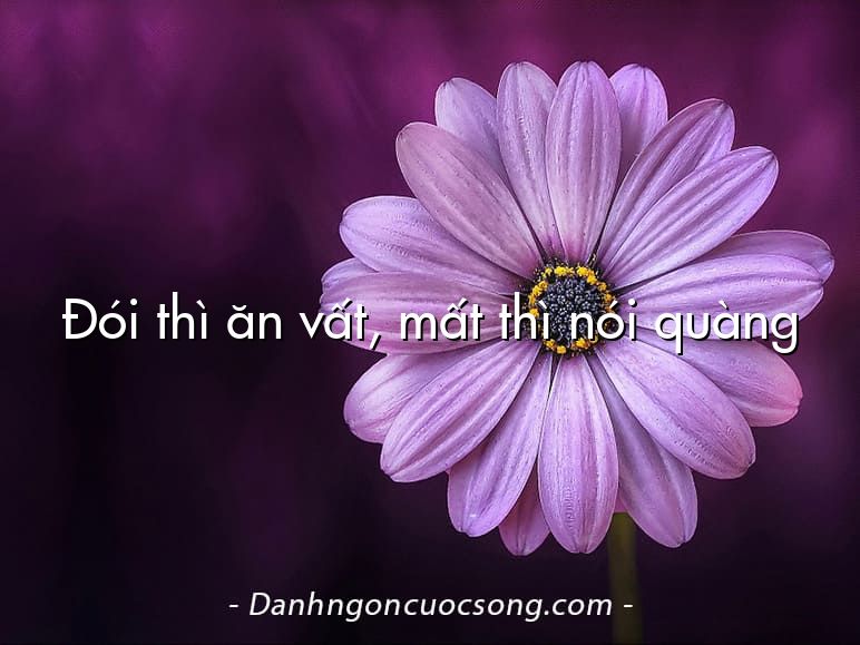 Đói thì ăn vất, mất thì nói quàng