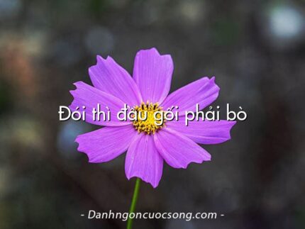 Đói thì đầu gối phải bò