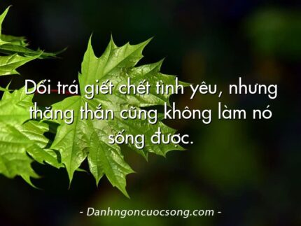 Dối trá giết chết tình yêu, nhưng thăng thắn cũng không làm nó sống được.