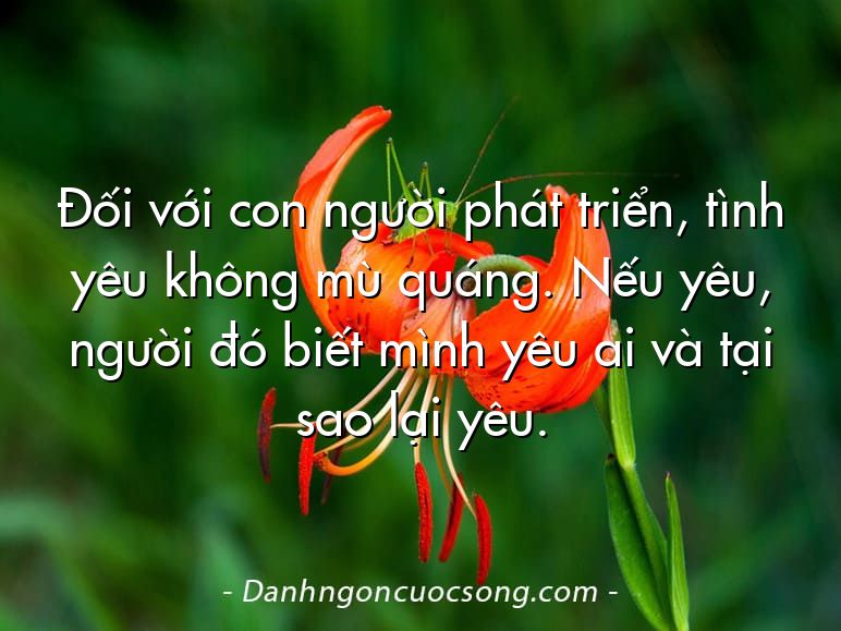 Đối với con người phát triển, tình yêu không mù quáng. Nếu yêu, người đó biết mình yêu ai và tại sao lại yêu.
