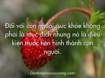 Đối với con người, sức khỏe không phải là mục đích nhưng nó là điều kiện trước tiên hình thành con người.