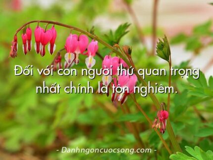 Đối với con người thứ quan trọng nhất chính là tôn nghiêm.