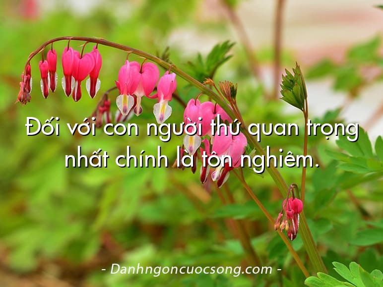 Đối với con người thứ quan trọng nhất chính là tôn nghiêm.