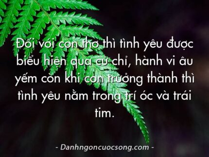 Đối với con thơ thì tình yêu được biểu hiện qua cử chỉ, hành vi âu yếm còn khi con trưởng thành thì tình yêu nằm trong trí óc và trái tim.