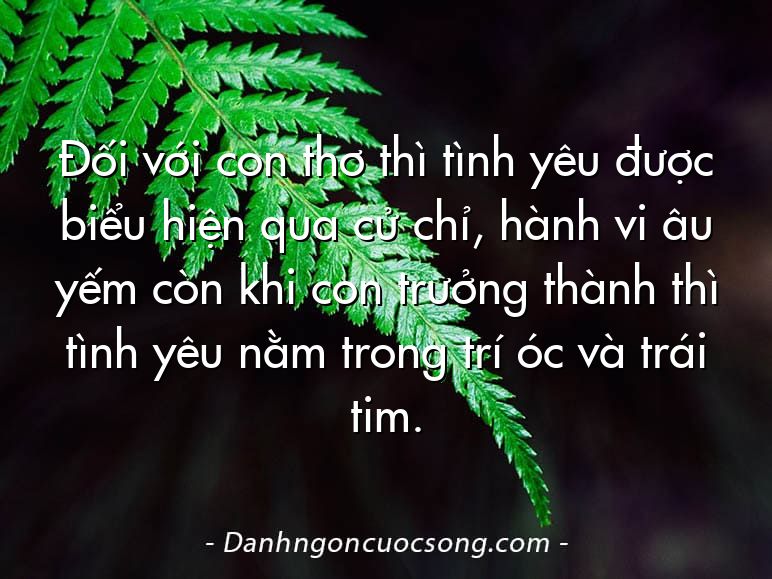 Đối với con thơ thì tình yêu được biểu hiện qua cử chỉ, hành vi âu yếm còn khi con trưởng thành thì tình yêu nằm trong trí óc và trái tim.