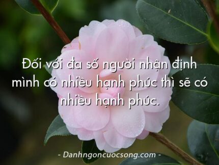 Đối với đa số người nhận định mình có nhiều hạnh phúc thì sẽ có nhiều hạnh phúc.