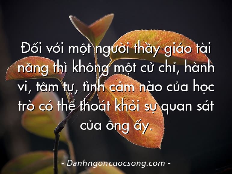 Đối với một người thầy giáo tài năng thì không một cử chỉ, hành vi, tâm tư, tình cảm nào của học trò có thể thoát khỏi sự quan sát của ông ấy.