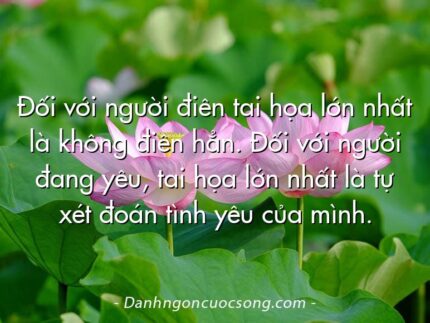 Đối với người điên tai họa lớn nhất là không điên hẳn. Đối với người đang yêu, tai họa lớn nhất là tự xét đoán tình yêu của mình.