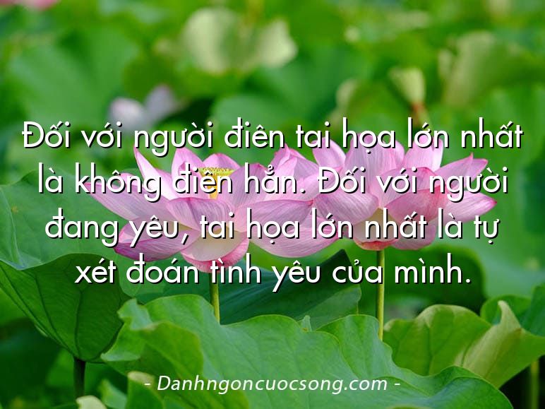 Đối với người điên tai họa lớn nhất là không điên hẳn. Đối với người đang yêu, tai họa lớn nhất là tự xét đoán tình yêu của mình.