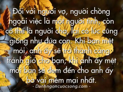 Đối với người vợ, người chồng ngoài việc là một người tình, còn có thể là người cha, lại có lúc cũng giống như đứa con. Khi bạn mệt mỏi, anh ấy sẽ trở thành cảng tránh gió cho bạn; khi anh ấy mệt mỏi bạn sẽ đem đến cho anh ấy bờ vai mềm mại nhất.