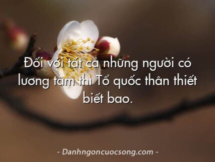 Đối với tất cả những người có lương tâm thì Tổ quốc thân thiết biết bao.