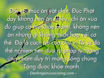 Đối với thức ăn vật chất, Đức Phật dạy không nên ăn nhiều, chỉ ăn vừa đủ giúp cơ thể khỏe mạnh, không nên ăn những gì không thích hợp với cơ thể. Đó là cách ăn của chư vị Tổ sư đã thể nghiệm nên đưa ra pháp tu tương ứng nhằm duy trì mạng sống chúng Tăng được khỏe mạnh.
