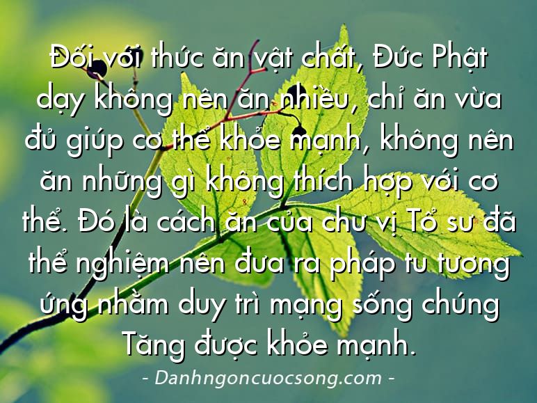 Đối với thức ăn vật chất, Đức Phật dạy không nên ăn nhiều, chỉ ăn vừa đủ giúp cơ thể khỏe mạnh, không nên ăn những gì không thích hợp với cơ thể. Đó là cách ăn của chư vị Tổ sư đã thể nghiệm nên đưa ra pháp tu tương ứng nhằm duy trì mạng sống chúng Tăng được khỏe mạnh.