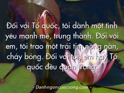 Đối với Tổ quốc, tôi dành một tình yêu mạnh mẽ, trung thành. Đối với em, tôi trao một trái tim nồng nàn, cháy bỏng. Đối với tôi, em hay Tổ quốc đều quan trọng.