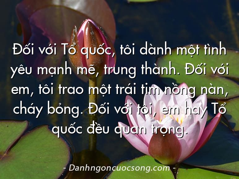 Đối với Tổ quốc, tôi dành một tình yêu mạnh mẽ, trung thành. Đối với em, tôi trao một trái tim nồng nàn, cháy bỏng. Đối với tôi, em hay Tổ quốc đều quan trọng.