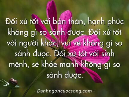 Đối xử tốt với bản thân, hạnh phúc không gì so sánh được. Đối xử tốt với người khác, vui vẻ không gì so sánh được. Đối xử tốt với sinh mệnh, sẽ khỏe mạnh không gì so sánh được.