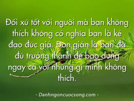 Đối xử tốt với người mà bạn không thích không có nghĩa bạn là kẻ đạo đức giả. Đơn giản là bạn đã đủ trưởng thành để bao dung ngay cả với những gì mình không thích.