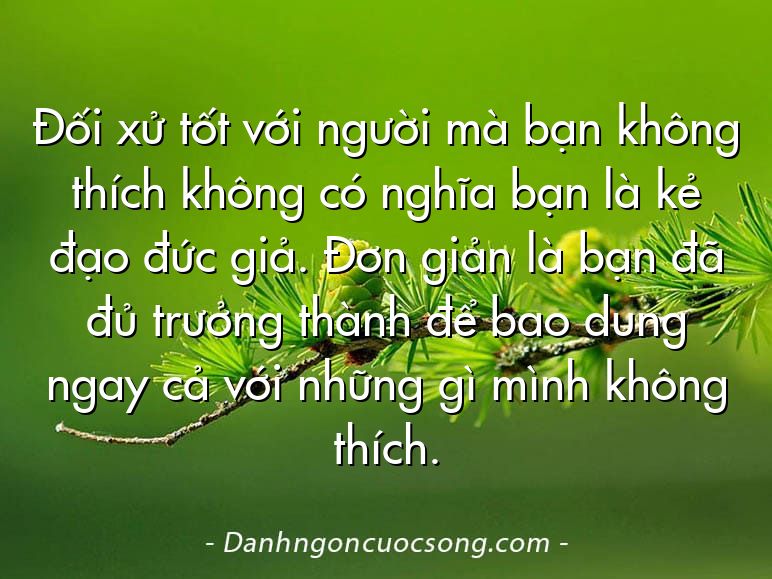 Đối xử tốt với người mà bạn không thích không có nghĩa bạn là kẻ đạo đức giả. Đơn giản là bạn đã đủ trưởng thành để bao dung ngay cả với những gì mình không thích.