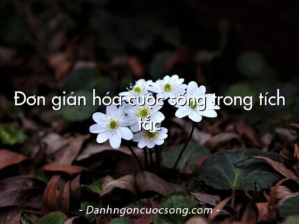 Đơn giản hóa cuộc sống trong tích tắc