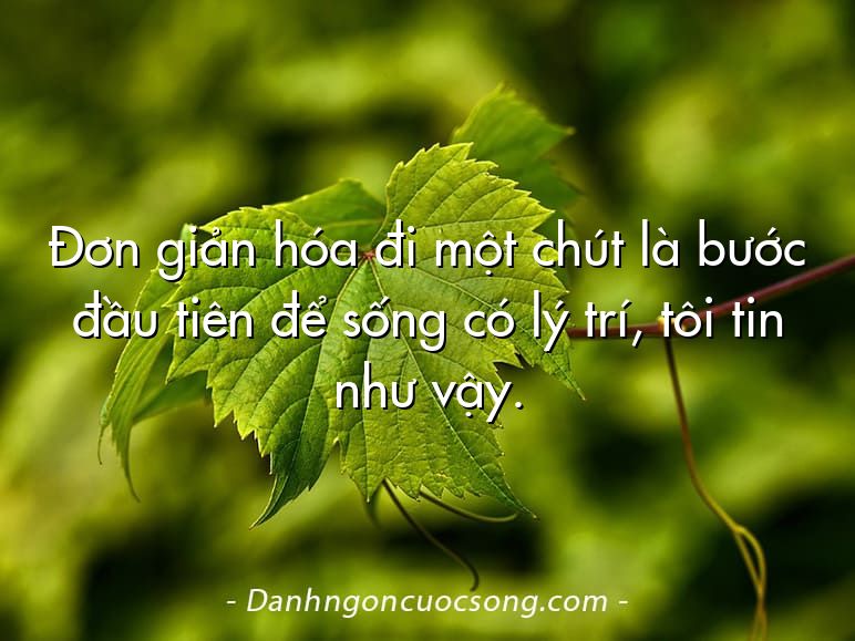 Đơn giản hóa đi một chút là bước đầu tiên để sống có lý trí, tôi tin như vậy.