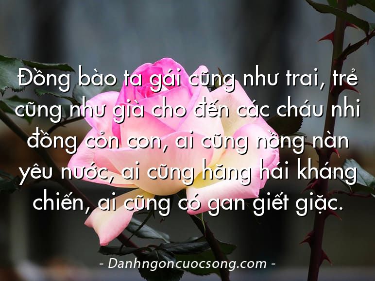 Đồng bào ta gái cũng như trai, trẻ cũng như già cho đến các cháu nhi đồng cỏn con, ai cũng nồng nàn yêu nước, ai cũng hăng hái kháng chiến, ai cũng có gan giết giặc.