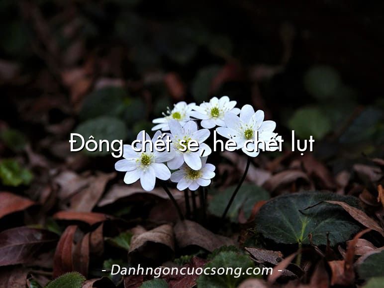 Đông chết se, hè chết lụt