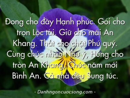 Đong cho đầy Hạnh phúc. Gói cho trọn Lộc tài. Giữ cho mãi An Khang. Thắt cho chặt Phú quý. Cùng chúc nhau Như ý, Hứng cho tròn An Khang, Chúc năm mới Bình An. Cả nhà đều Sung túc.