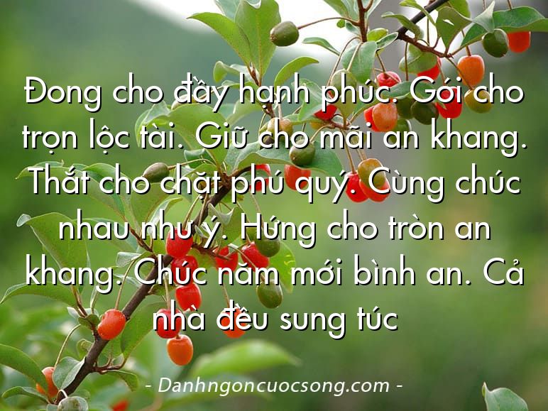 Đong cho đầy hạnh phúc. Gói cho trọn lộc tài. Giữ cho mãi an khang. Thắt cho chặt phú quý. Cùng chúc nhau như ý. Hứng cho tròn an khang. Chúc năm mới bình an. Cả nhà đều sung túc