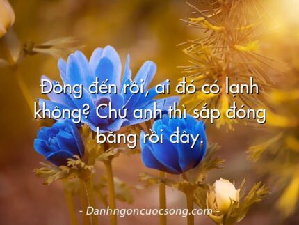 Đông đến rồi, ai đó có lạnh không? Chứ anh thì sắp đóng băng rồi đây.