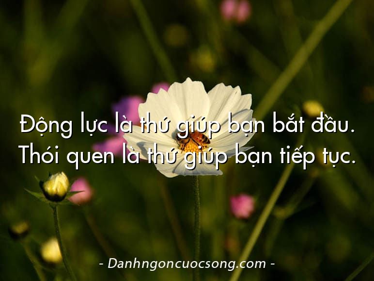 Động lực là thứ giúp bạn bắt đầu. Thói quen là thứ giúp bạn tiếp tục.