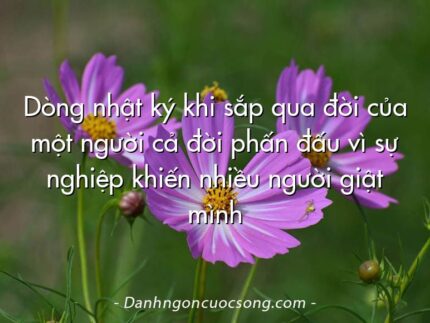Dòng nhật ký khi sắp qua đời của một người cả đời phấn đấu vì sự nghiệp khiến nhiều người giật mình