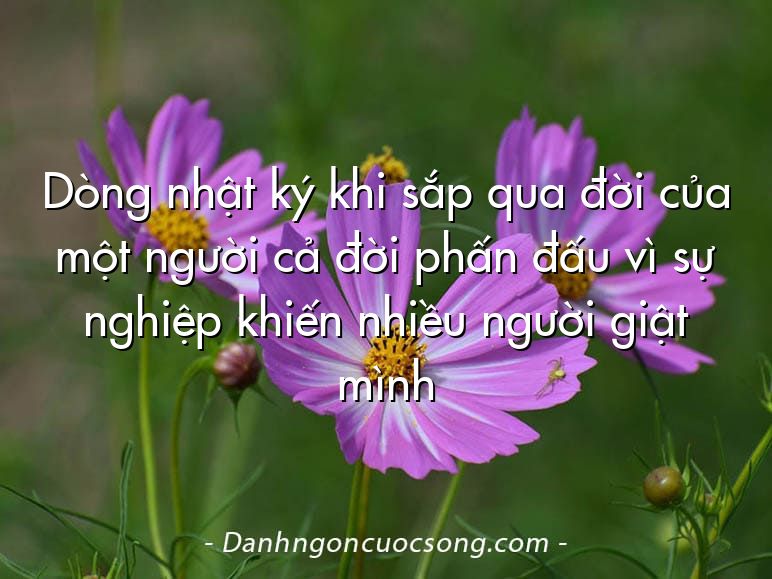 Dòng nhật ký khi sắp qua đời của một người cả đời phấn đấu vì sự nghiệp khiến nhiều người giật mình